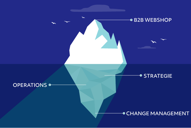 B2B e-commerce: meer dan een webshop alleen